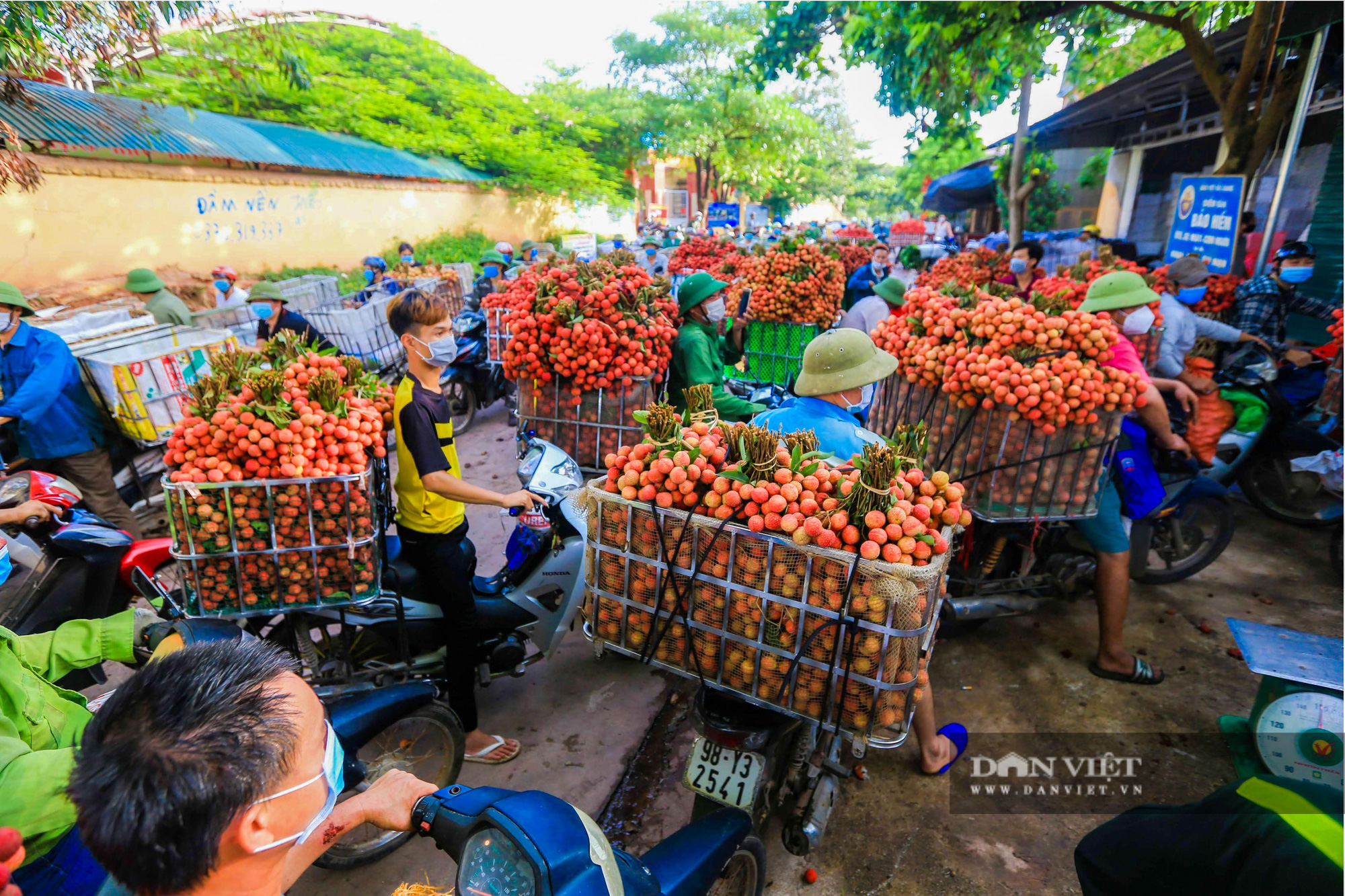 Vải thiều chín rộ đỏ ửng theo lưng nông dân đi tiêu thụ - Ảnh 10.