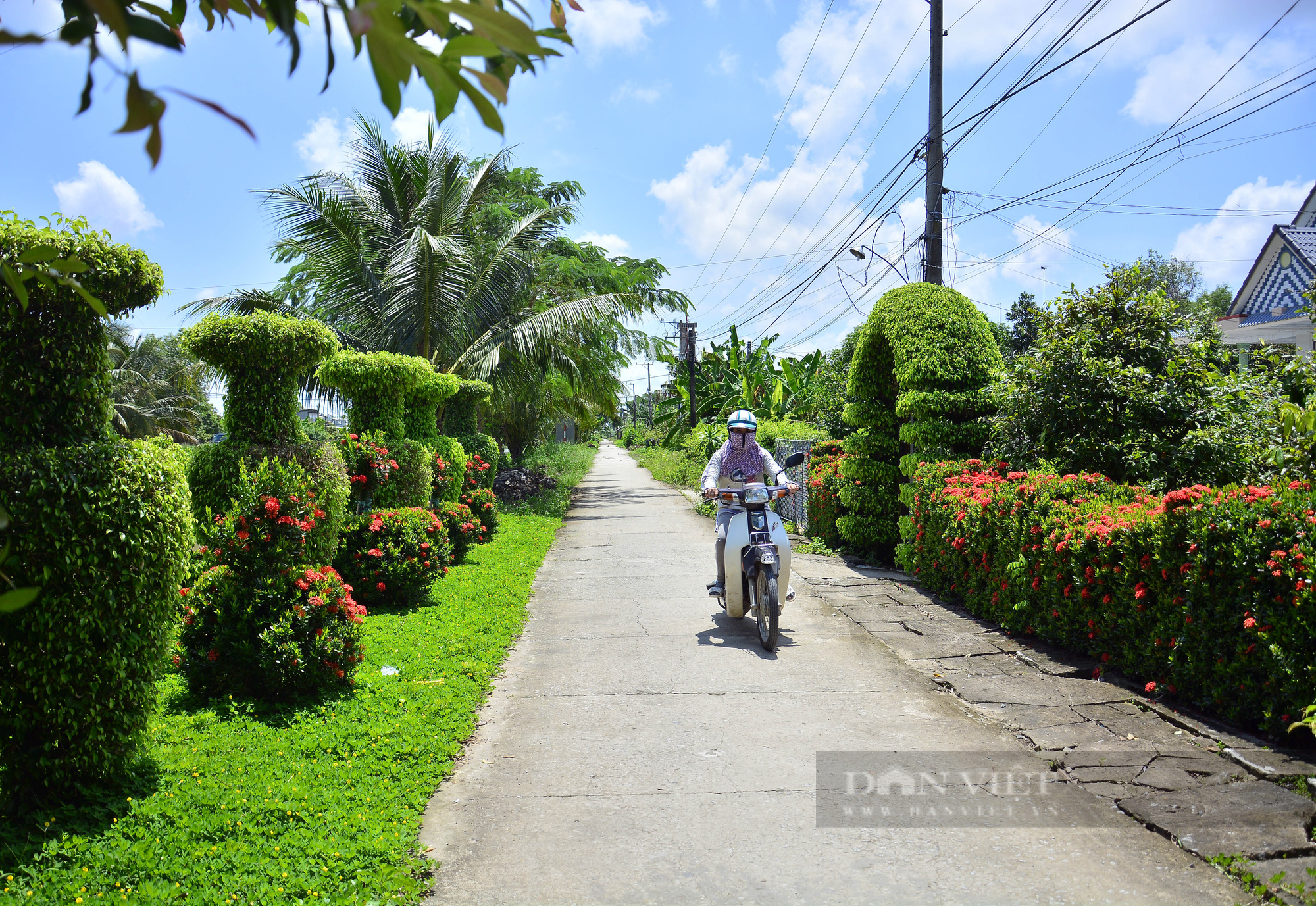 Những tuyến đường nông thôn đẹp như mơ của huyện nông thôn mới đầu tiên ở Kiên Giang - Ảnh 2.