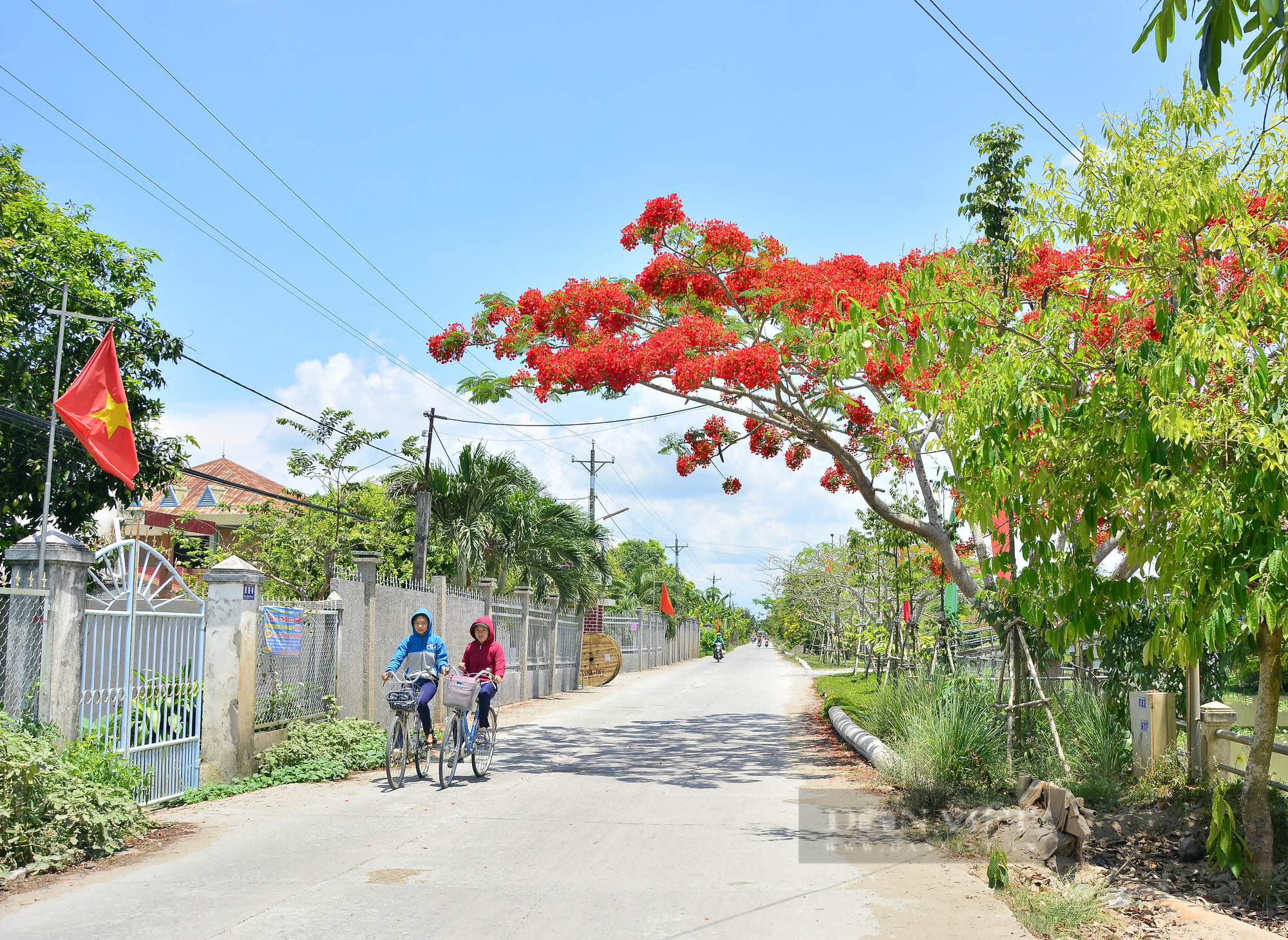 Những tuyến đường nông thôn đẹp như mơ của huyện nông thôn mới đầu tiên ở Kiên Giang - Ảnh 5.