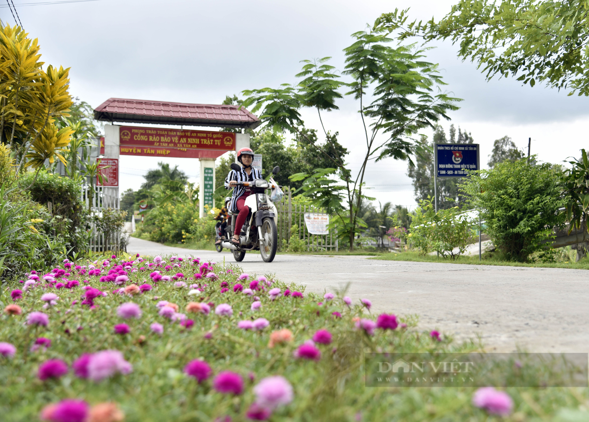 Những tuyến đường nông thôn đẹp như mơ của huyện nông thôn mới đầu tiên ở Kiên Giang - Ảnh 6.