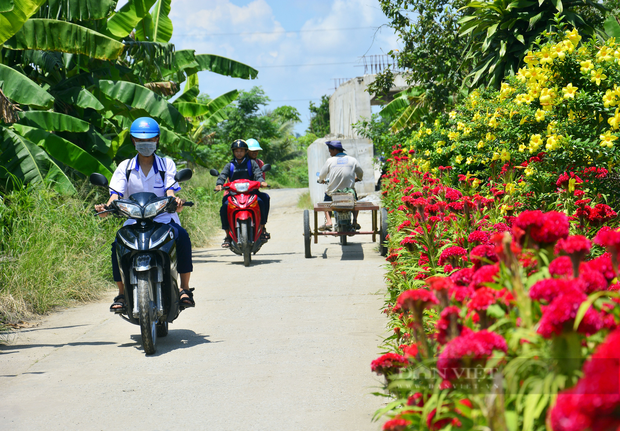 Những tuyến đường nông thôn đẹp như mơ của huyện nông thôn mới đầu tiên ở Kiên Giang - Ảnh 10.