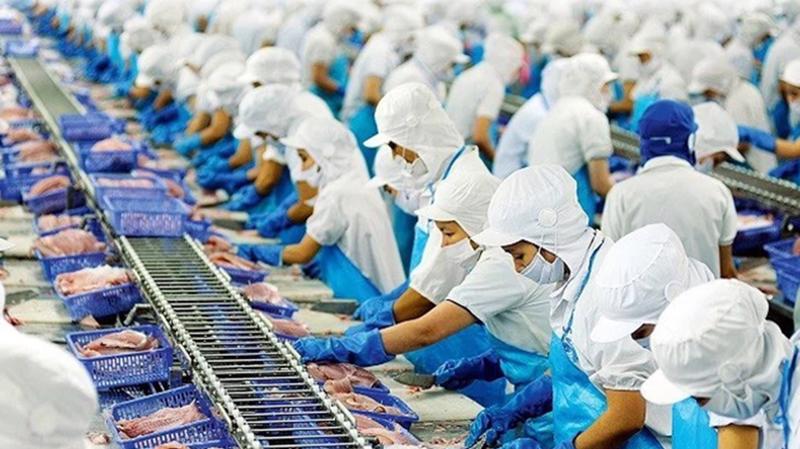 Tại sao thủy sản Việt Nam xuất được sang EU nhưng siêu thị trong nước lại từ chối? - Ảnh 1.