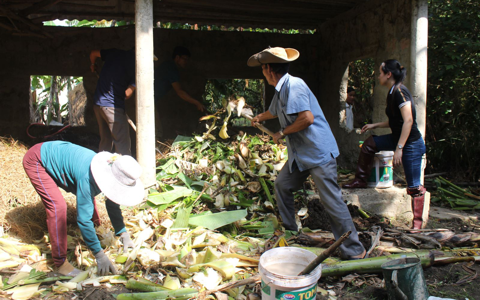 Giá phân bón tăng chóng mặt, chuyên gia khuyên nông dân dùng chế phẩm này biến phụ phẩm thành phân hữu cơ