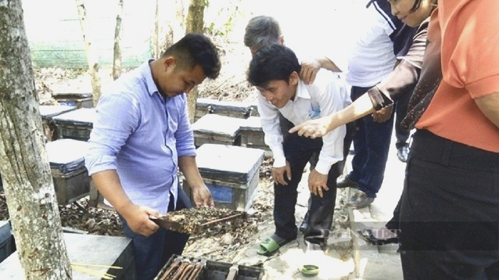 Long An: Gắn sao cho hàng triệu lính ăn mật hoa tràm, 9x quyết đưa đặc sản miền quê xuất khẩu     - Ảnh 5.