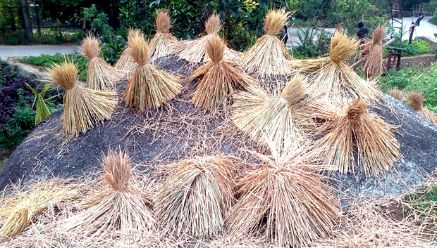 Hà Giang: Làng đẹp như phim bởi một phần nhờ những đụn rạ, bó rơm phơi nơi tảng đá, hiên nhà - Ảnh 1.