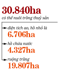 Nuôi trồng thủy sản - thiếu liên kết, khó phát triển - Ảnh 3.