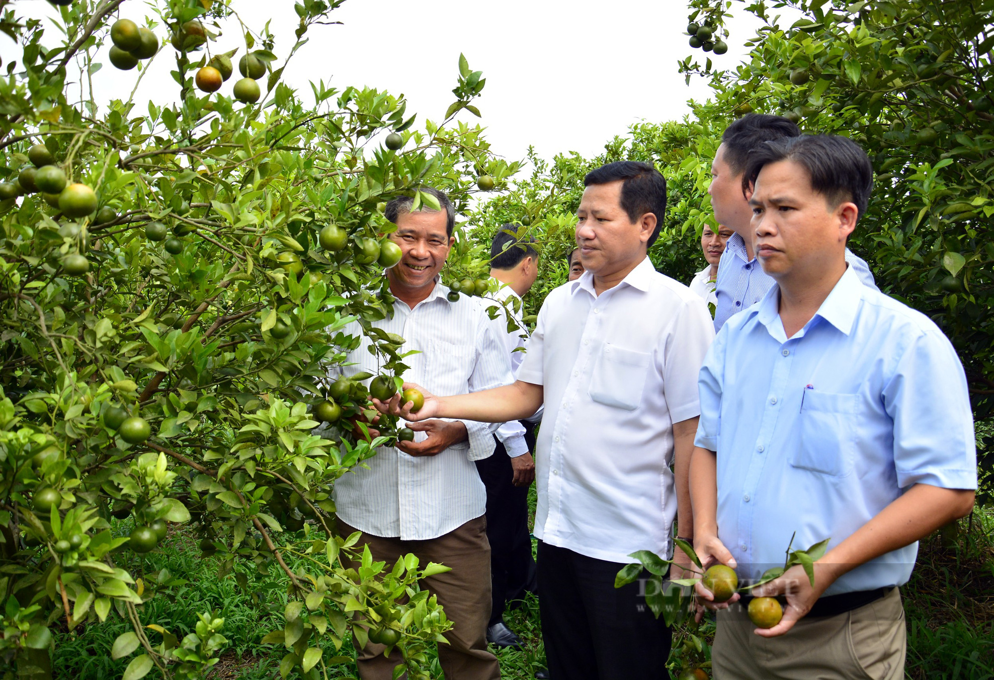 Huyện nông thôn mới tạo điều kiện cho nông dân lập kỳ tích từ vườn cây, rẫy màu, ao cá - Ảnh 2.