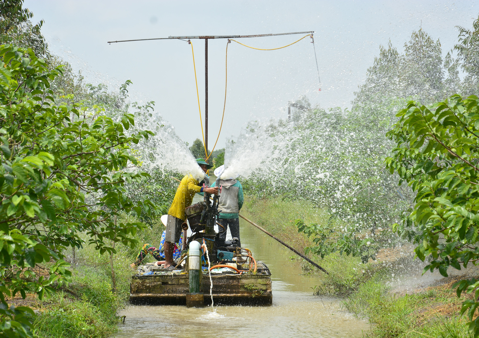 Huyện nông thôn mới tạo điều kiện cho nông dân lập kỳ tích từ vườn cây, rẫy màu, ao cá - Ảnh 7.