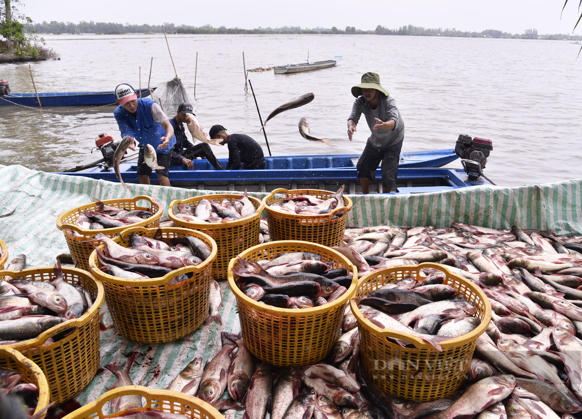 Huyện nông thôn mới tạo điều kiện cho nông dân lập kỳ tích từ vườn cây, rẫy màu, ao cá - Ảnh 8.