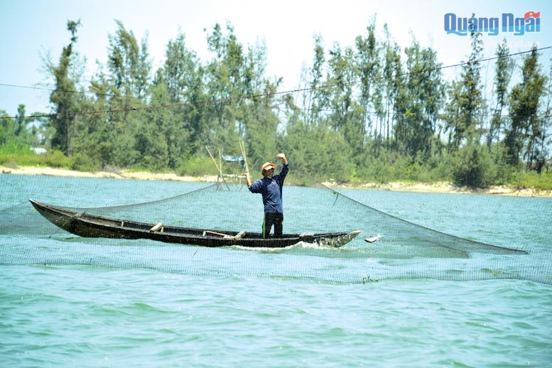 Quảng Ngãi: Nơi cửa biển ngư dân cứ lặn, ngụp là đang hành nghề gì, bắt loài cá gì? - Ảnh 4.