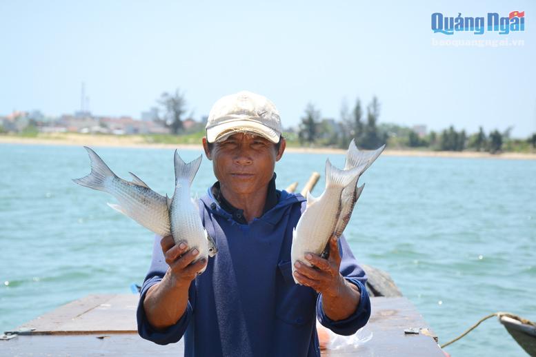 Quảng Ngãi: Nơi cửa biển ngư dân cứ lặn, ngụp là đang hành nghề gì, bắt loài cá gì? - Ảnh 5.