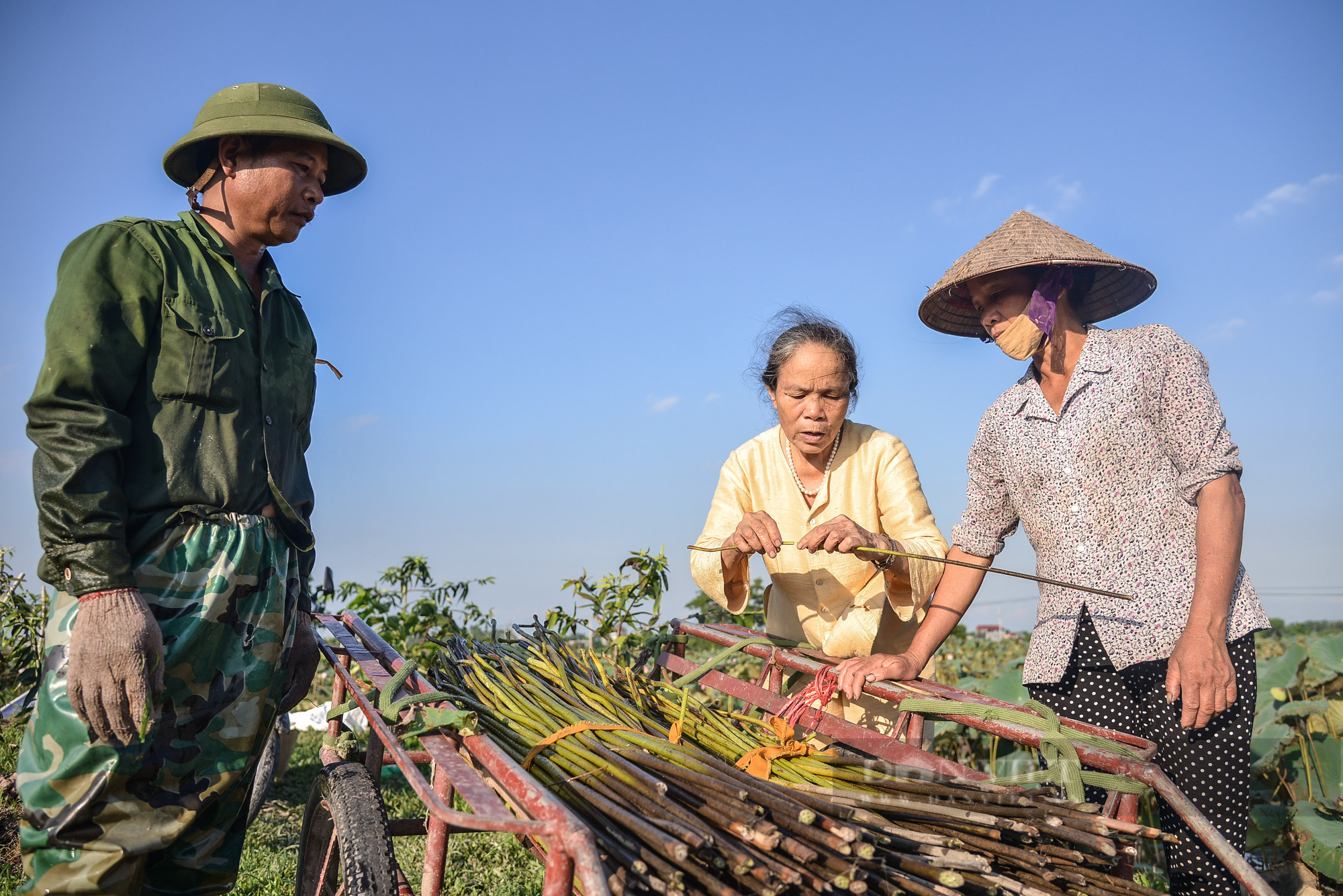 Hình ảnh người nghệ nhân đầu tiên dệt thành công lụa từ tơ sen ở Việt Nam - Ảnh 1.