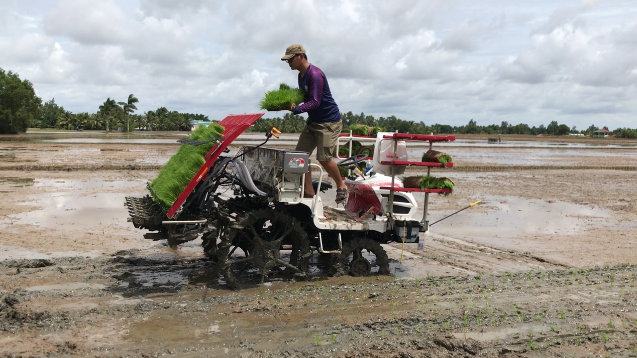 Cơ giới hóa khâu cấy lúa giúp giảm sâu bệnh, nâng cao năng suất, tăng thu nhập - Ảnh 3.