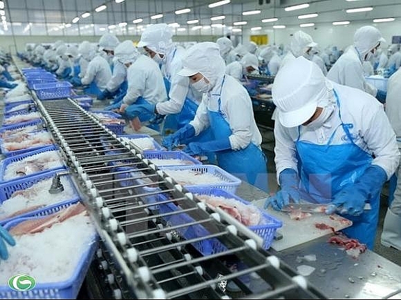Doanh thu tháng 6 của “nữ hoàng cá tra” Vĩnh Hoàn tăng 15%, đóng góp chủ yếu từ thị trường Mỹ  - Ảnh 1.