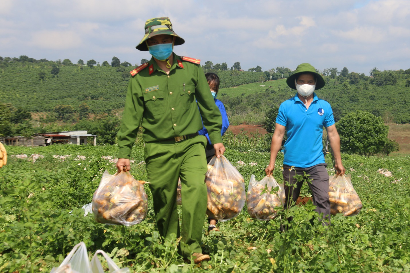 Anh nông dân &quot;chơi lớn&quot;, gửi tặng người dân TPHCM cả vườn cải trăm triệu - Ảnh 8.