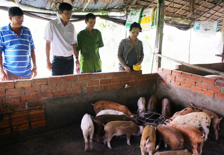 Thiết kế chuồng nuôi lợn hiện đại tiết kiệm nước  VTC16  YouTube