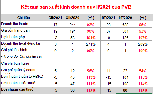 Doanh thu giảm sâu, PVB báo lỗ ròng 15 tỷ đồng sau 6 tháng đầu năm 2021 - Ảnh 1.