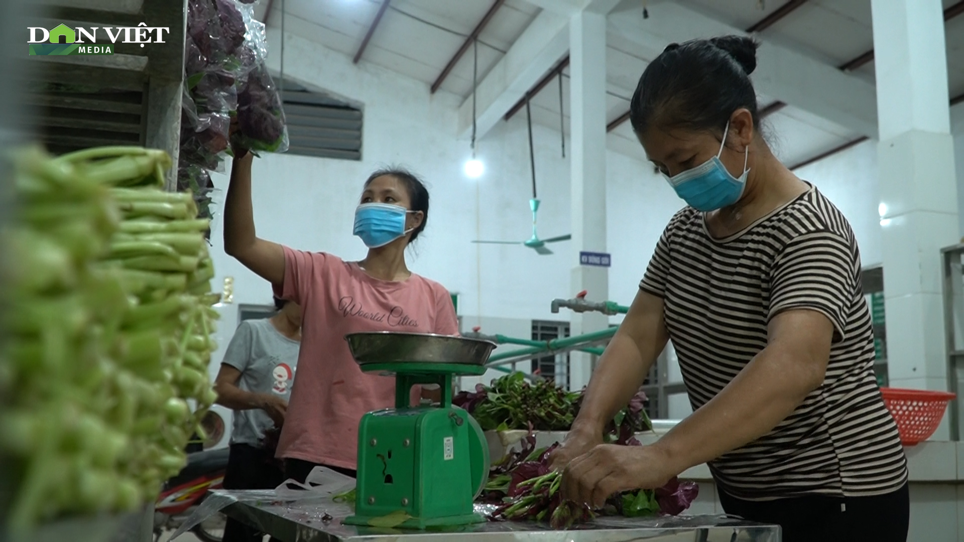 Chủ động liên kết sản xuất và tiêu thụ - Phương pháp cho nông dân tăng sức đề kháng trước “giải cứu nông sản” - Ảnh 2.