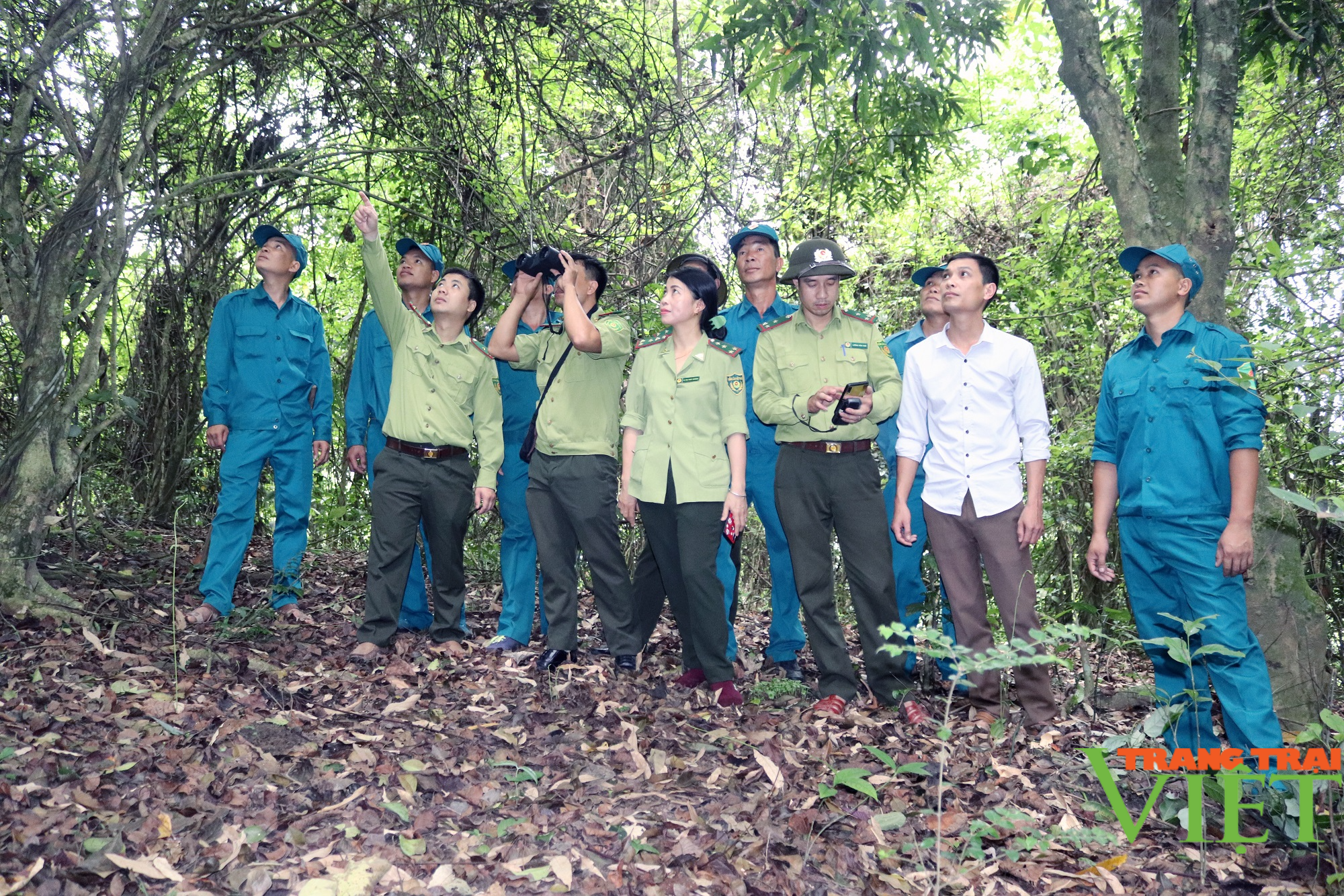 Phù Yên làm tốt công tác quản lý, bảo vệ rừng - Ảnh 1.