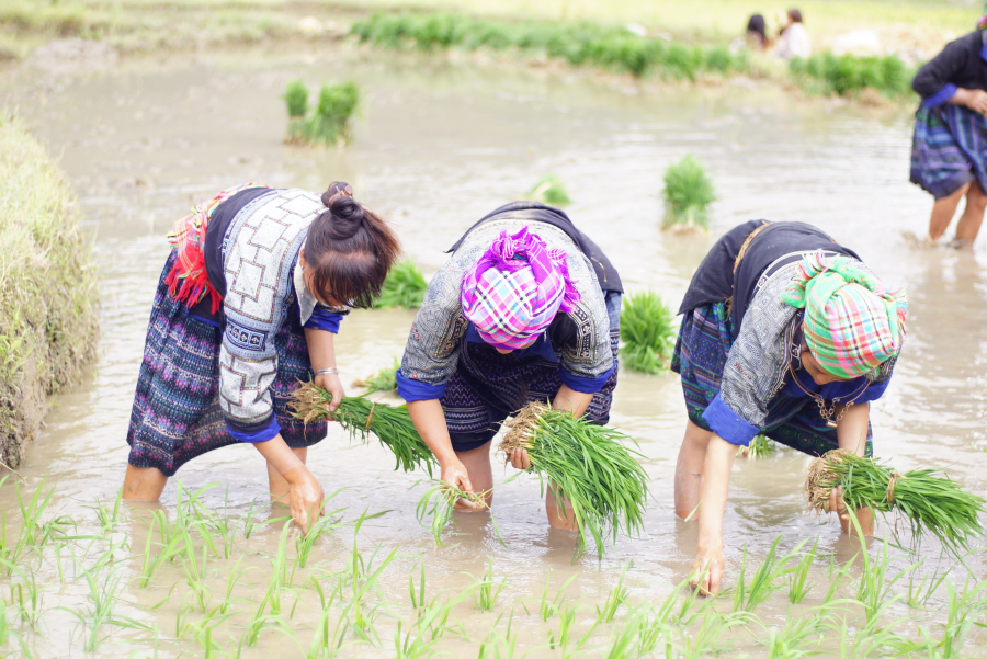 Mùa hạ kỳ diệu trên những cung đường Tây Bắc - Ảnh 12.