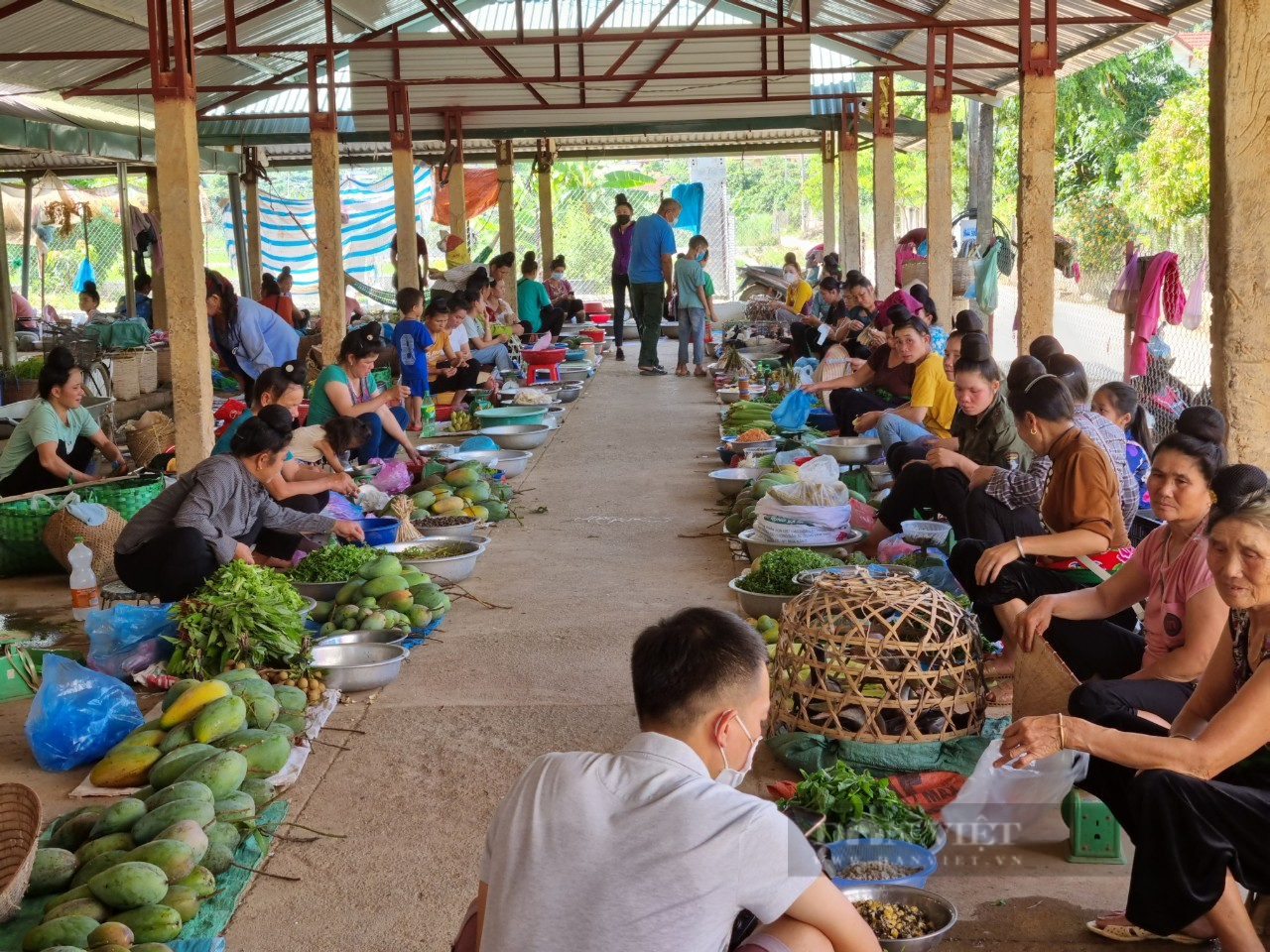 Clip: Mục sở thị chợ côn trùng lớn nhất Sơn La - Ảnh 2.