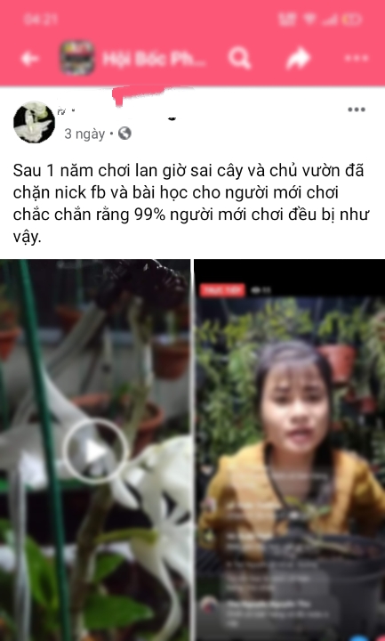 Hoa lan đột biến: Khổ cho những &quot;con cá vào sau&quot; vỡ mộng làm giàu bột phát, ôm cây đợi...phá sản - Ảnh 1.