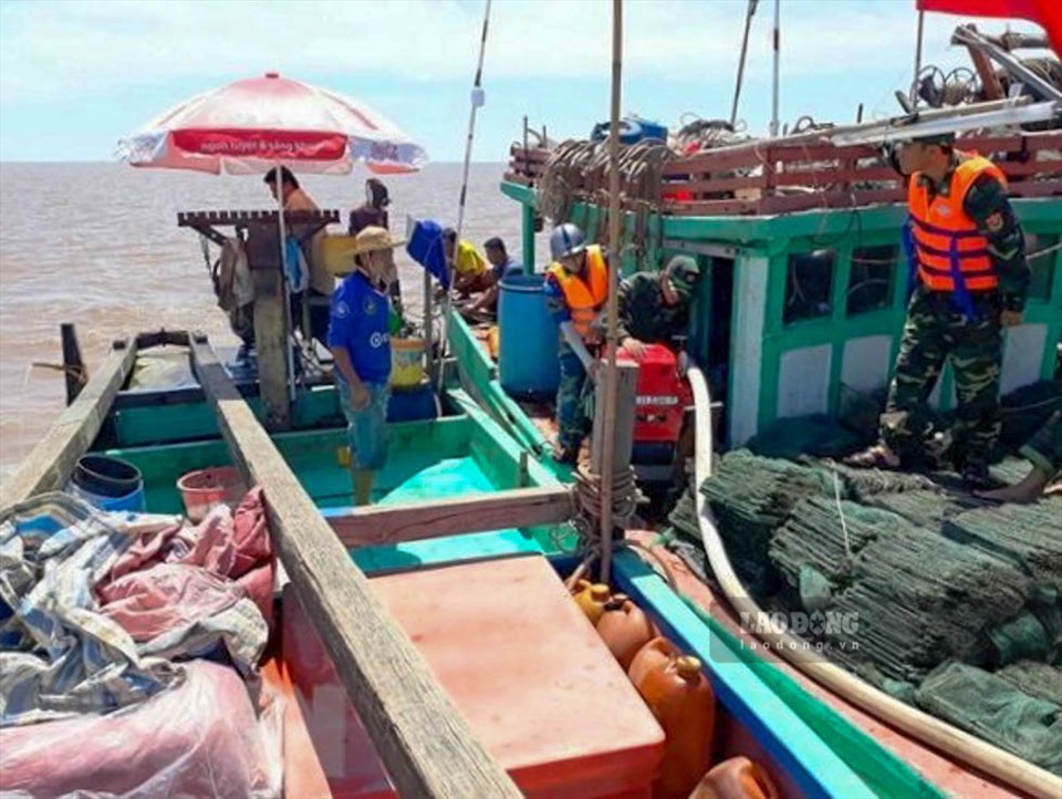 Cám cảnh nông dân miền Tây: Trái chín đầy vườn không ai mua, cá, cua có bắt lên cũng không ai ngó - Ảnh 5.