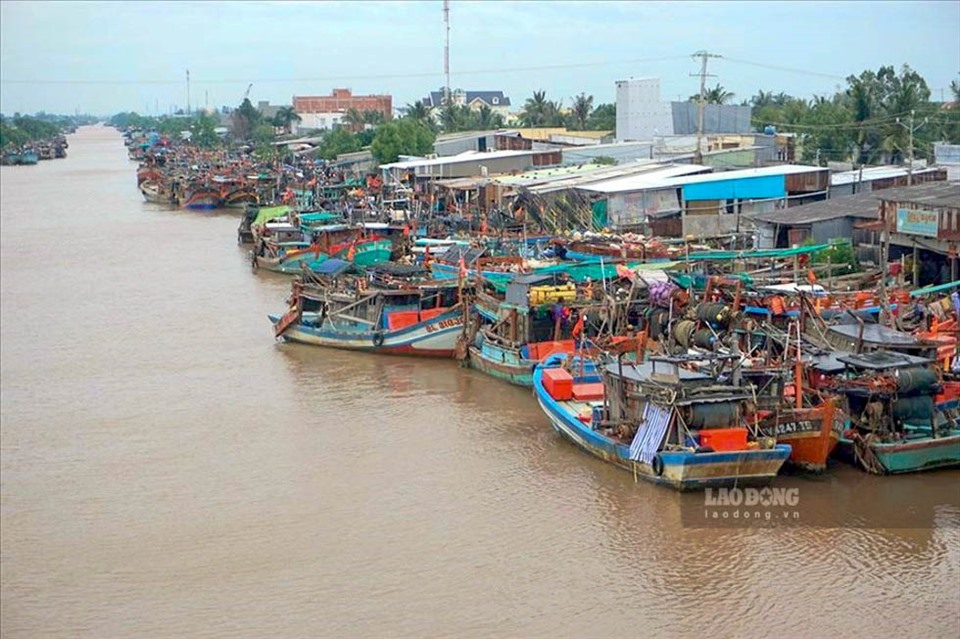 Cám cảnh nông dân miền Tây: Trái chín đầy vườn không ai mua, cá, cua có bắt lên cũng không ai ngó - Ảnh 6.