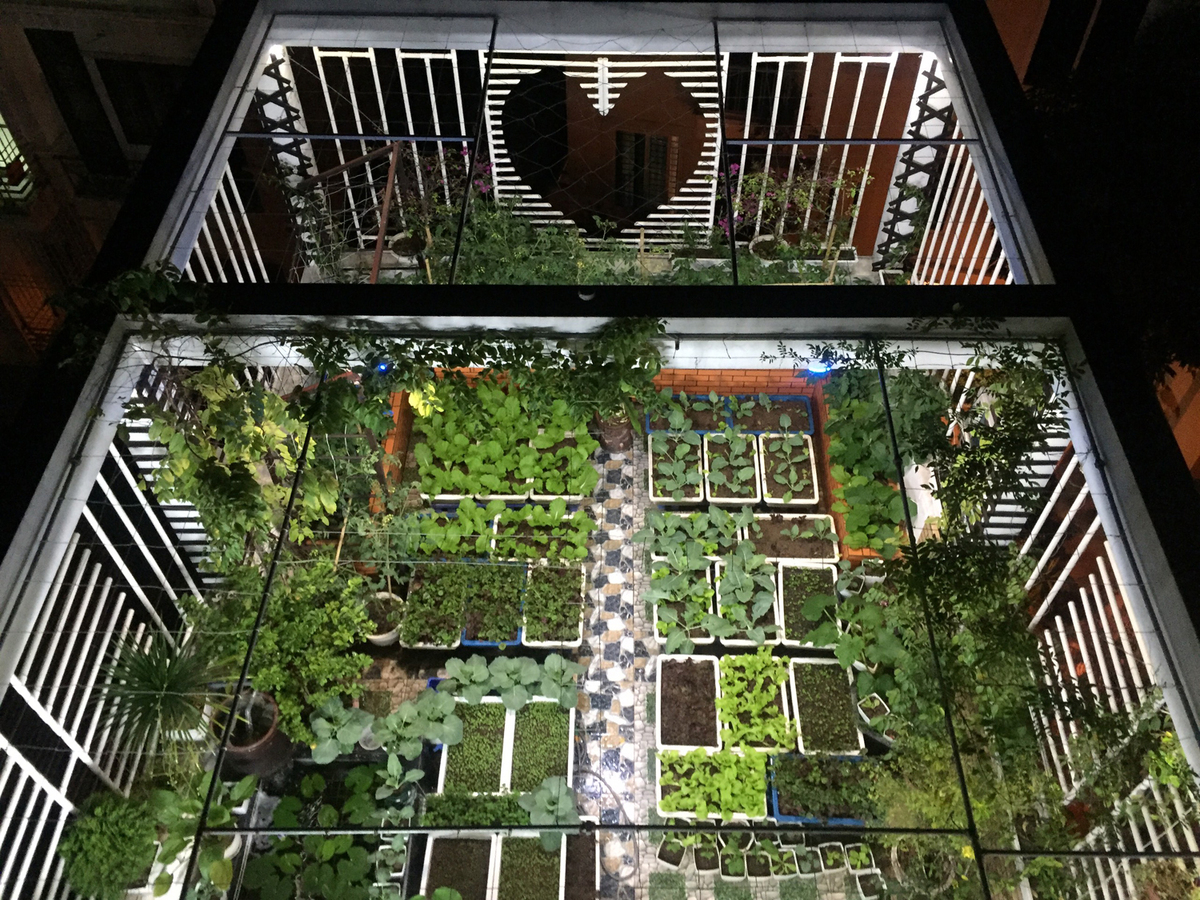 Khu vườn trên sân thượng sẽ đem lại một không gian sống lý tưởng và tiết kiệm diện tích cho những người sinh sống trong căn hộ. Với những không gian trống trên sân thượng nhà bạn, hãy tận dụng để trồng các loại cây, hoa, và thảm cỏ để tạo ra một khu vườn trên sân thượng xanh mát và sáng tạo. Hãy cùng khám phá hình ảnh khu vườn trên sân thượng để tìm được nhiều ý tưởng cho đặt ra kế hoạch trồng cây của bạn.