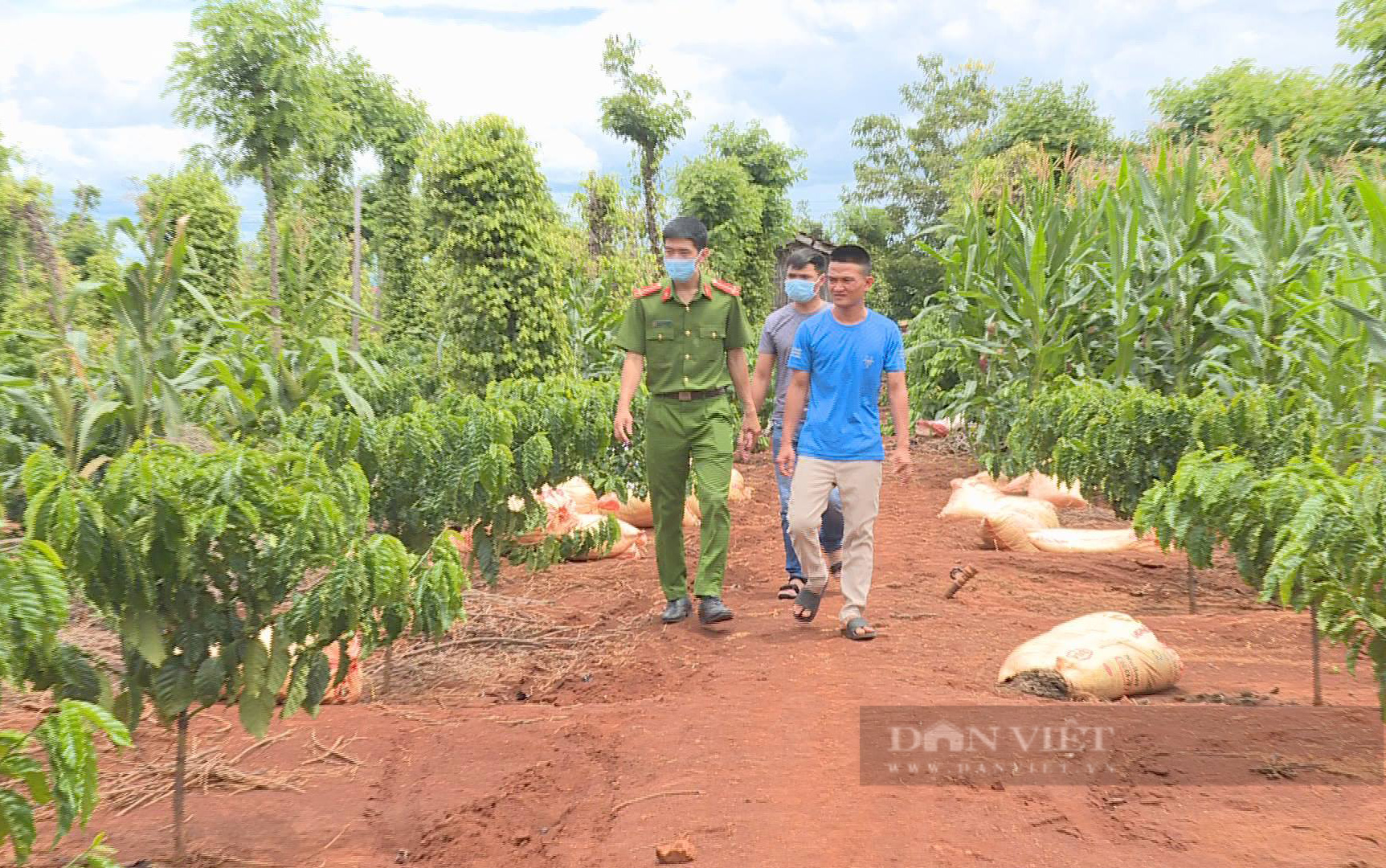 Bắt đối tượng chặt phá vườn sầu riêng có trị giá rất lớn để trả thù - Ảnh 2.