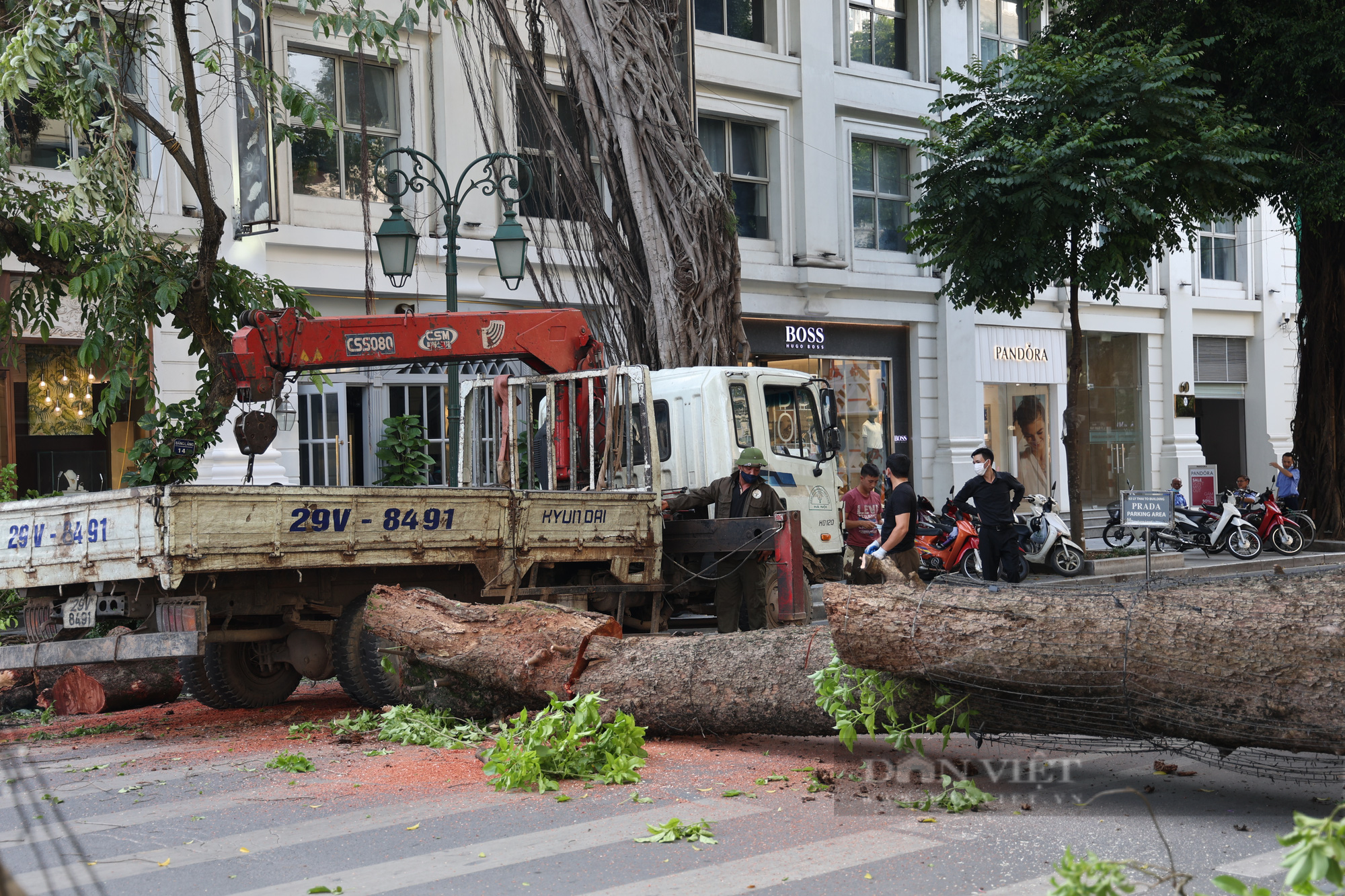 Hà Nội: Cây xanh bật gốc chắn ngang phố Lý Thái Tổ - Ảnh 6.