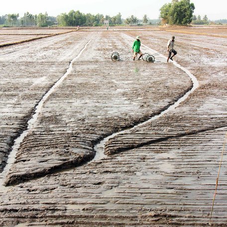 Lũ ở ĐBSCL năm nay to hay nhỏ, mực nước cao nhất ở đầu nguồn là mấy mét? - Ảnh 1.