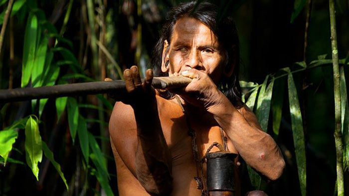 Đàn ông đa thê bộ lạc Chagua được “săn lùng” bởi bí quyết thiện xạ săn mồi - Ảnh 3.