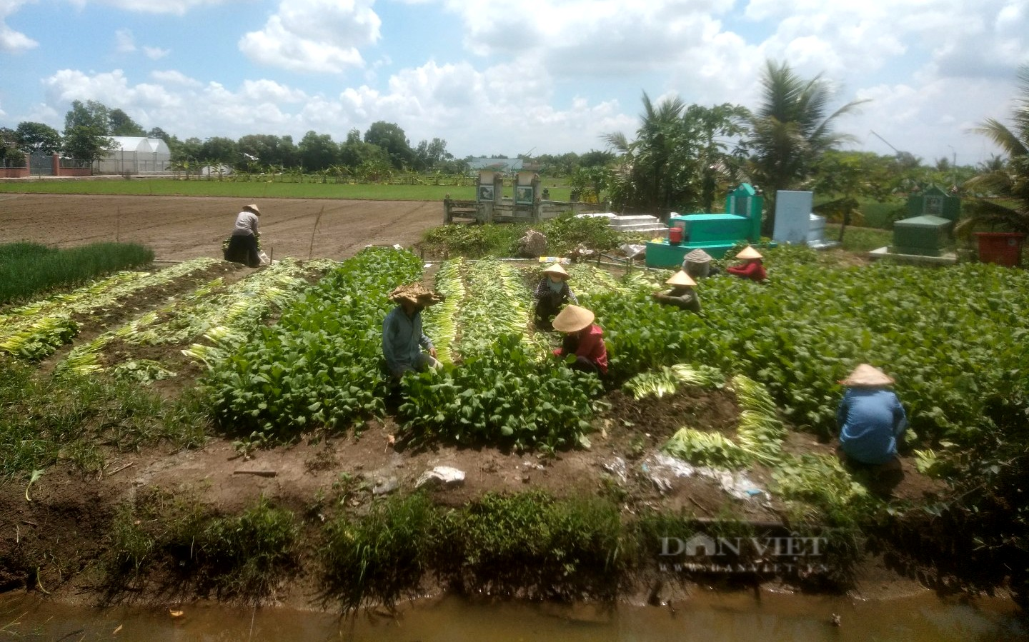 Lần đầu tiên dùng “luồng xanh đường thủy”, nông sản từ miền Tây đổ về TP.HCM bằng tàu cao tốc - Ảnh 4.