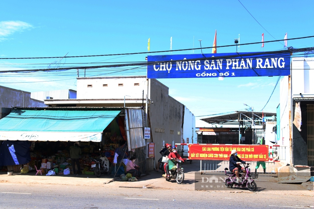 Ninh Thuận: Dừng hoạt động chợ đầu mối nông sản lớn nhất tỉnh để phòng chống dịch Covid-19 - Ảnh 1.