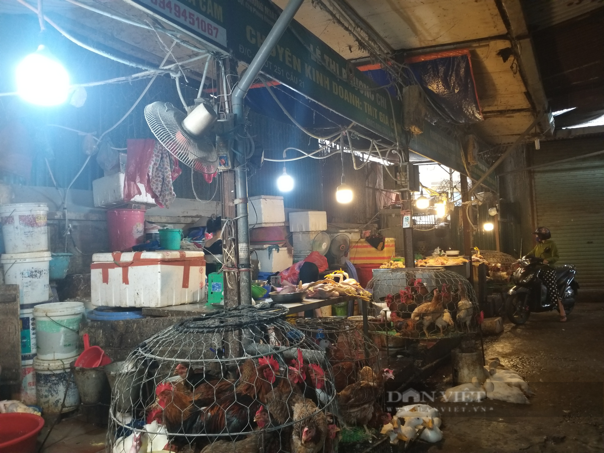Hà Nội: Thịt lợn, gà đầy chợ, khách bình thản mua thực phẩm tiêu dùng  - Ảnh 2.
