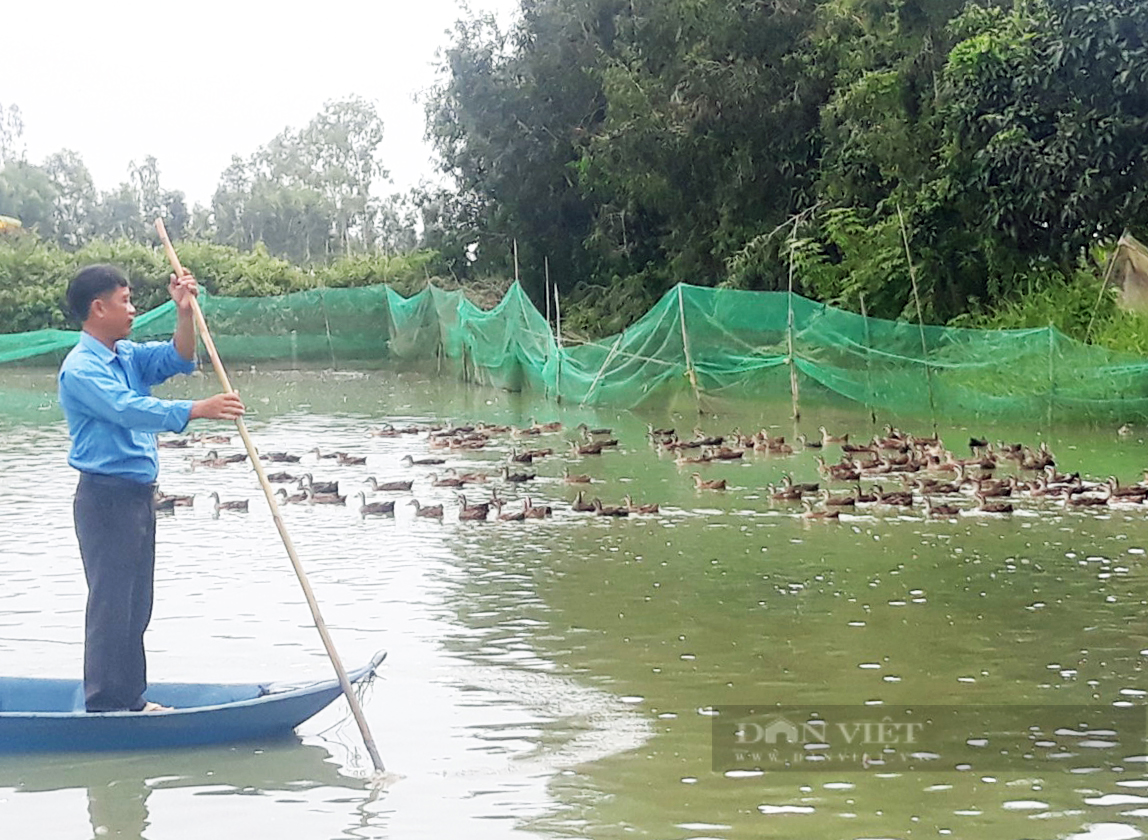 Sóc Trăng: Hợp tác xã đưa vịt trời vào mâm cỗ nhà hàng, sản phẩm không đủ bán - Ảnh 2.