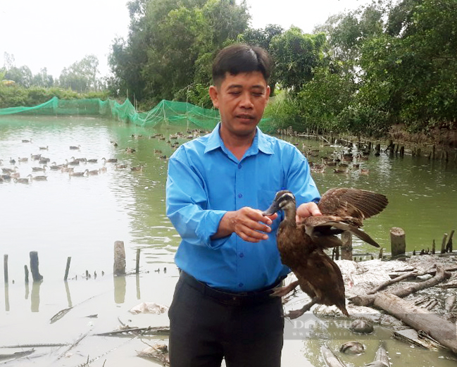 Sóc Trăng: Hợp tác xã đưa vịt trời vào mâm cỗ nhà hàng, sản phẩm không đủ bán - Ảnh 5.