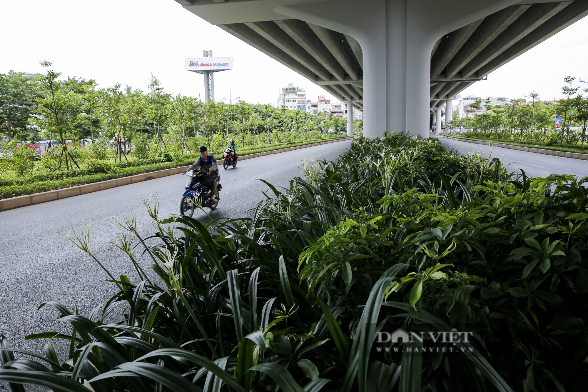 Cảnh quan Hà Nội thay đổi thế nào sau 5 năm trồng cây phủ xanh đô thị?  - Ảnh 3.