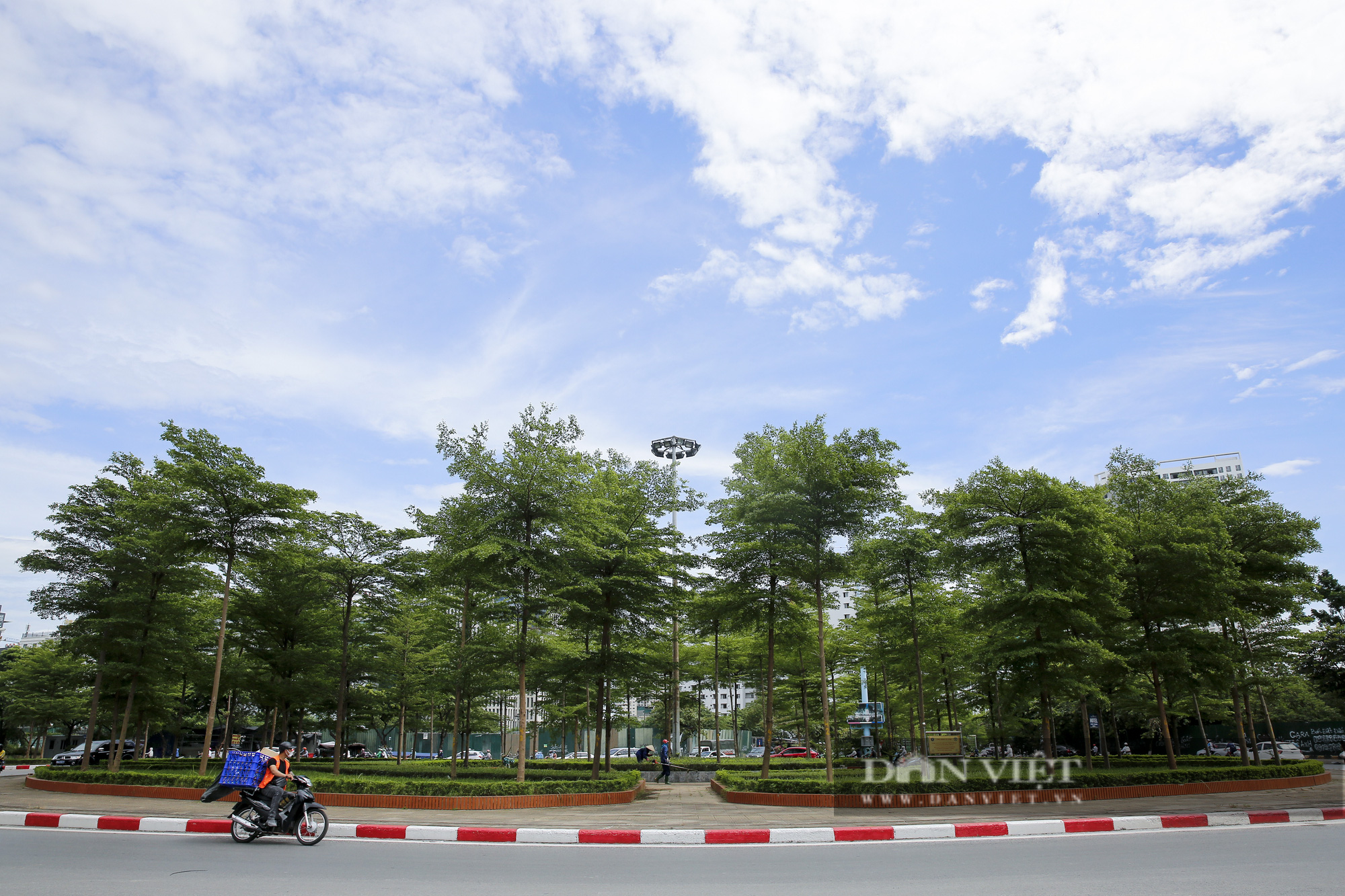 Cảnh quan Hà Nội thay đổi thế nào sau 5 năm trồng cây phủ xanh đô thị?  - Ảnh 7.