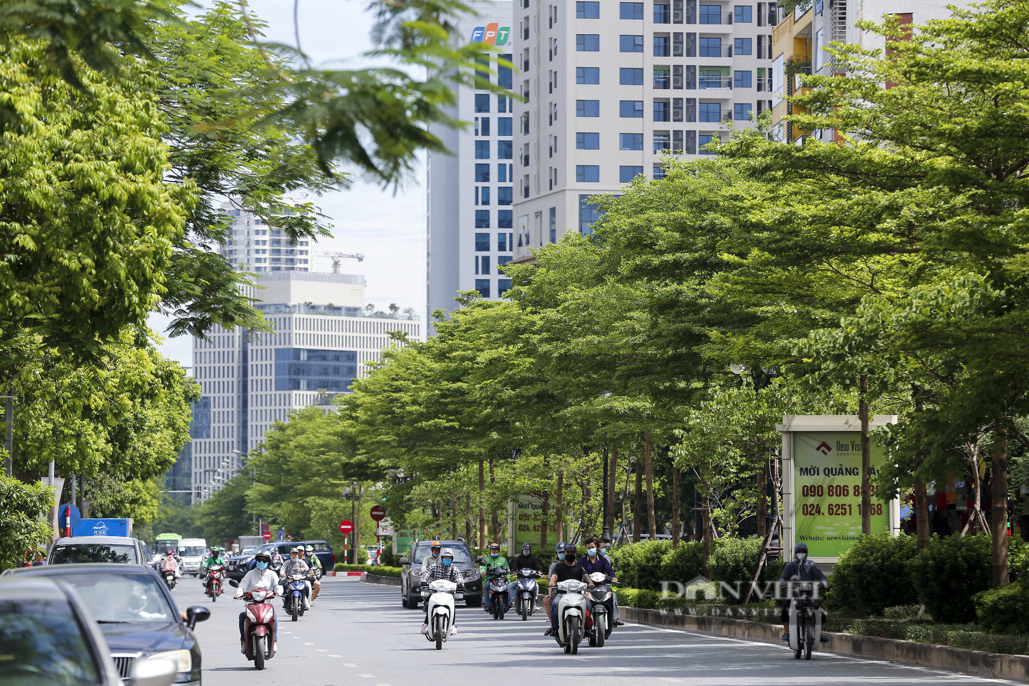 Cảnh quan Hà Nội thay đổi thế nào sau 5 năm trồng cây phủ xanh đô thị?  - Ảnh 8.