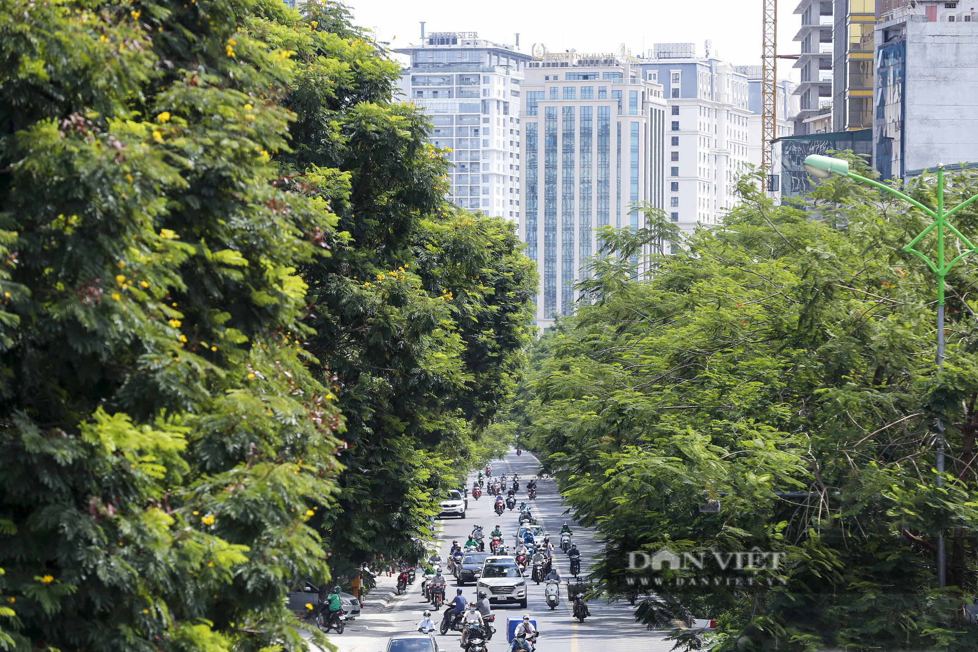 Cảnh quan Hà Nội thay đổi thế nào sau 5 năm trồng cây phủ xanh đô thị?  - Ảnh 10.