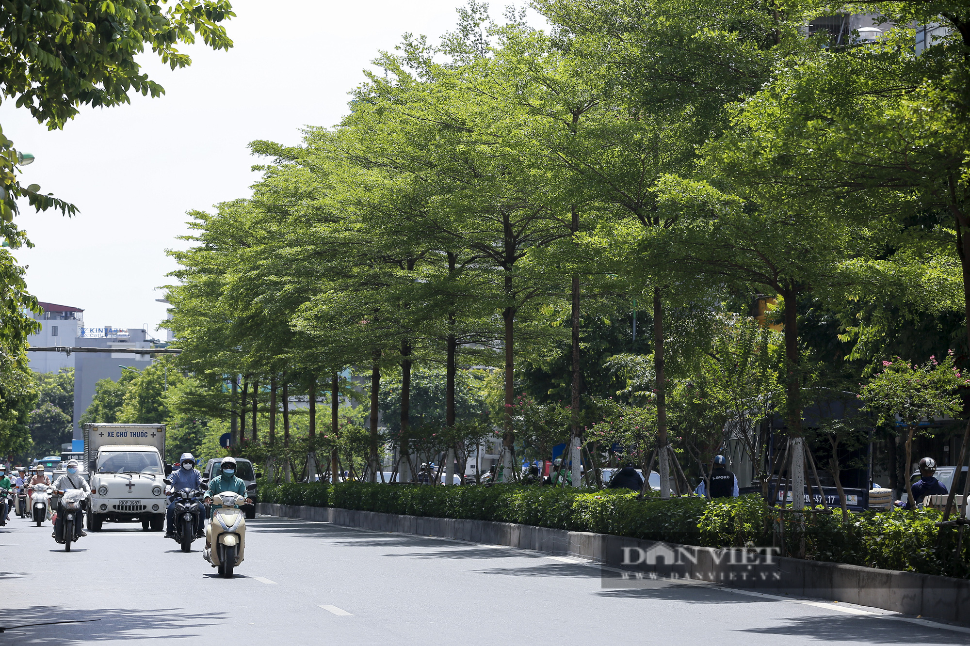 Cảnh quan Hà Nội thay đổi thế nào sau 5 năm trồng cây phủ xanh đô thị?  - Ảnh 12.