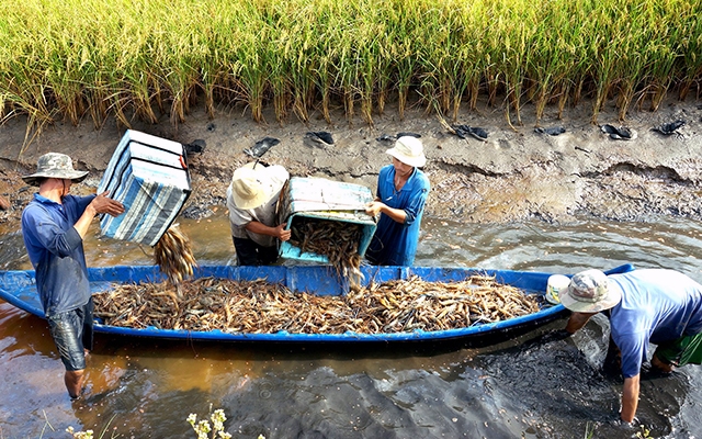 Xây dựng hệ thống lương thực thực phẩm minh bạch - Ảnh 1.