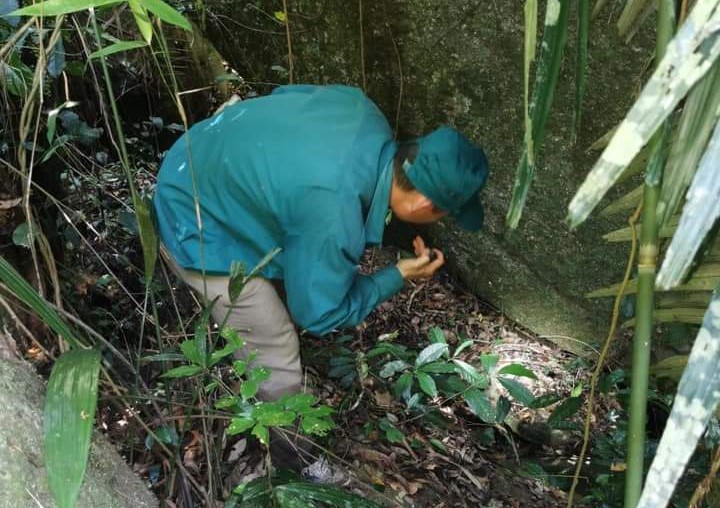 Thi thể thanh niên được phát hiện dưới hố sâu sau nửa tháng lạc gia đình trong rừng - Ảnh 1.