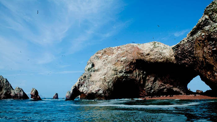 Peru: Thiên đường tự nhiên độc lạ Paracas - “nơi sa mạc gặp biển” - Ảnh 3.