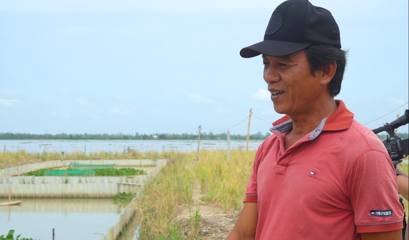 Kiên Giang: &quot;Hô biến&quot; ruộng lúa thành ao nuôi la liệt con ba ba, ai ngờ ông nông dân &quot;liều ăn nhiều&quot; - Ảnh 1.