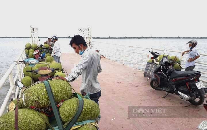 Dịch Covid-19 tấn công, xã cù lao buộc “thông chốt” để nông dân bán nông sản tới vụ - Ảnh 1.