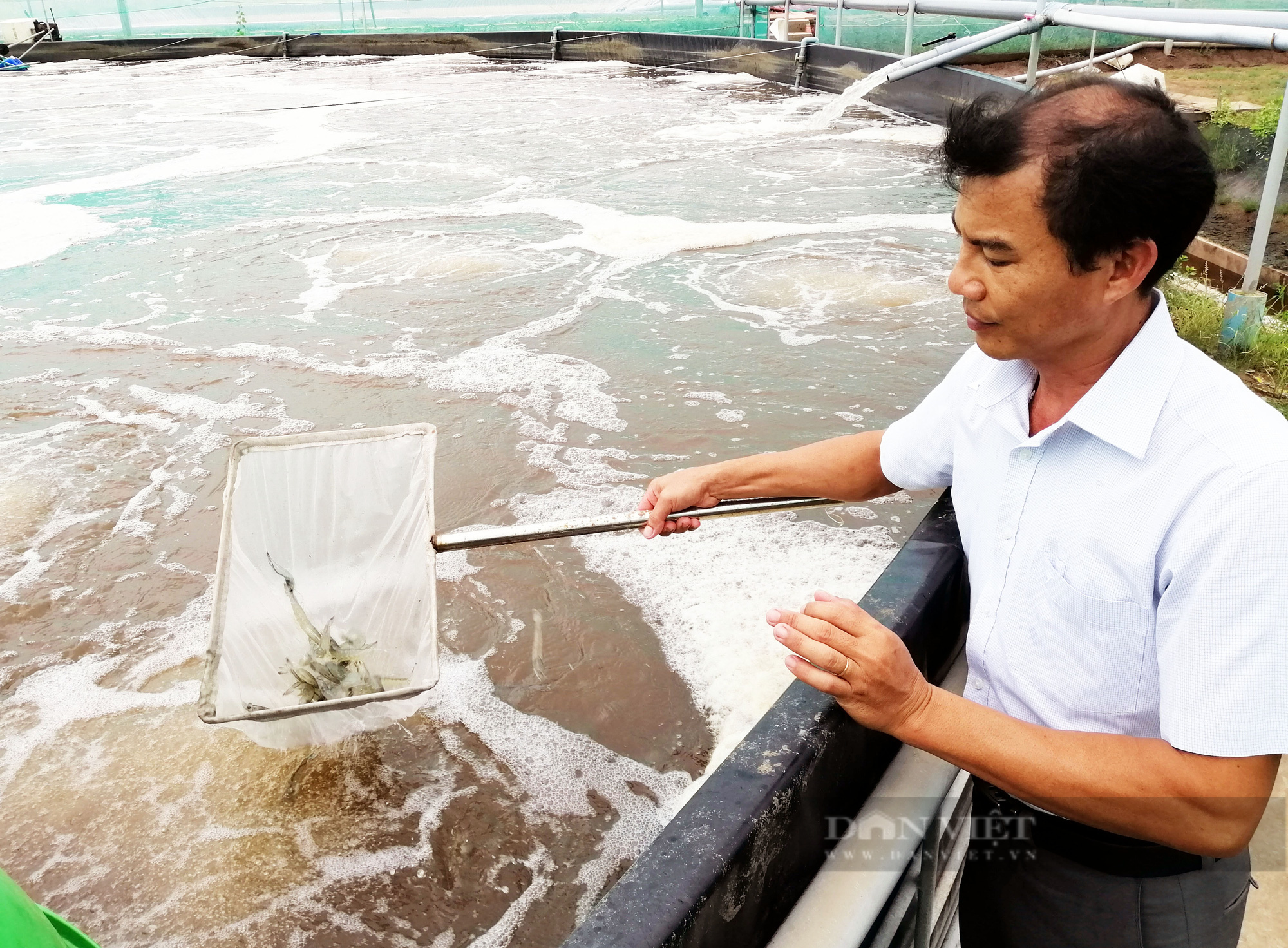 Miền Tây giãn cách xã hội: Người nuôi tôm siêu thâm canh lao đao  - Ảnh 4.