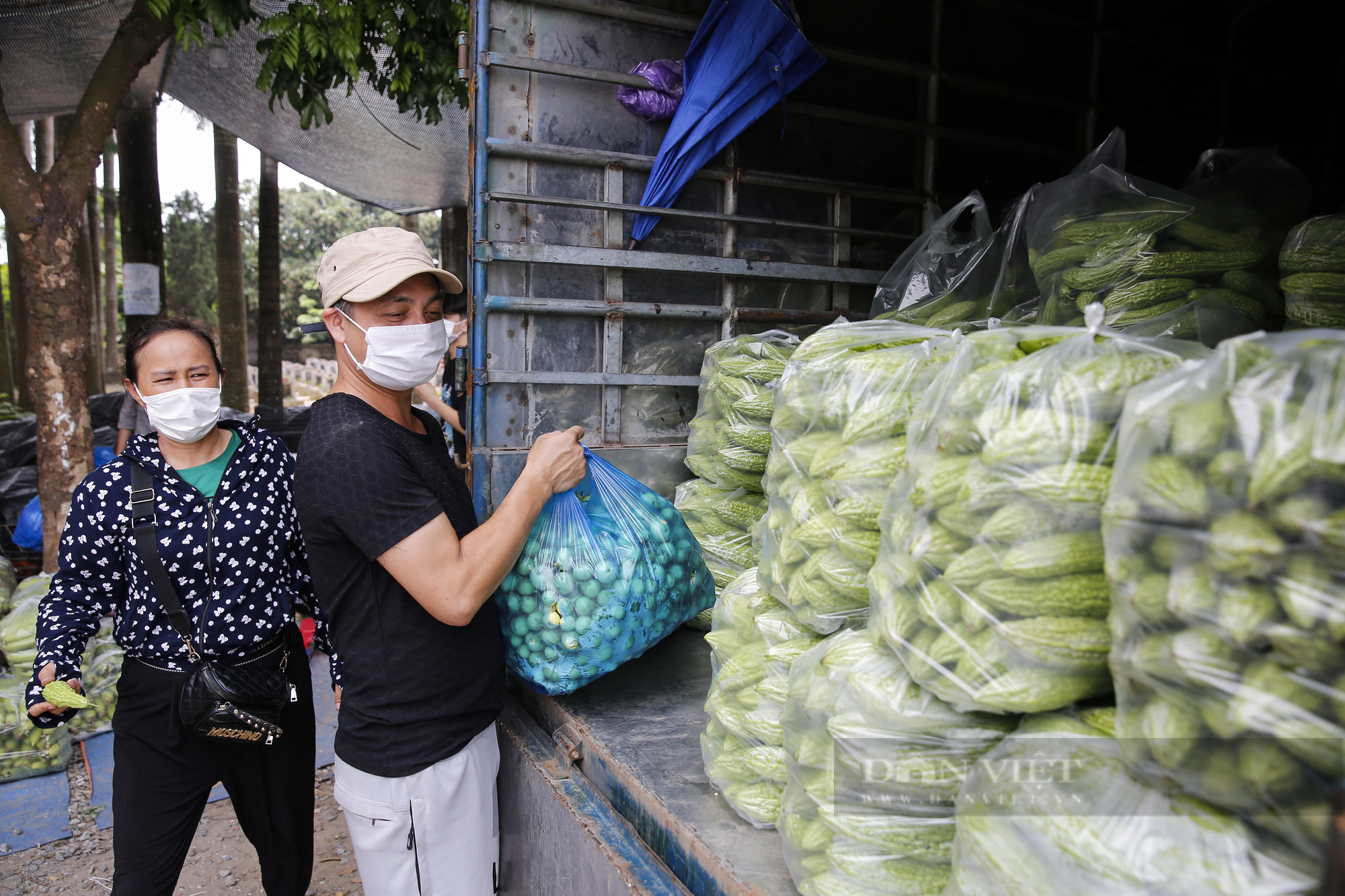 Nông dân Hà Nội: “Chúng tôi luôn có sẵn rau để bán” - Ảnh 12.